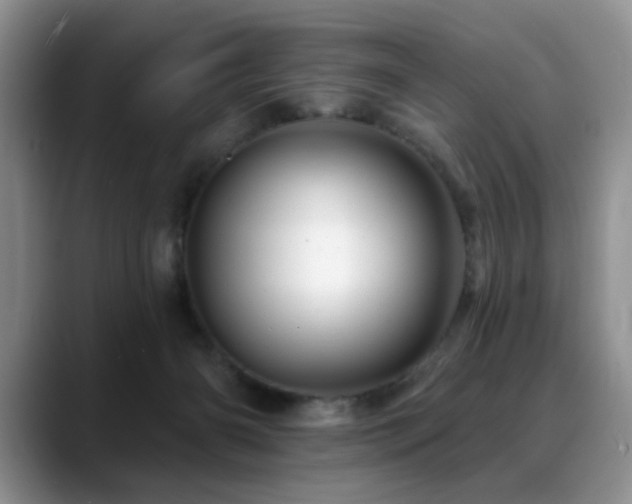 X0000088890126200706081255