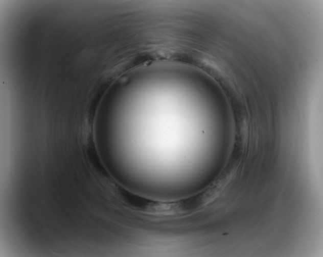 X0000088890129200706081255