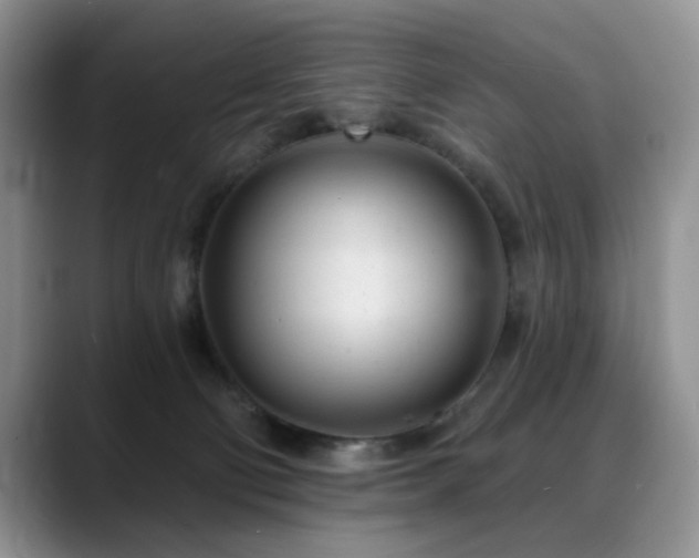 X0000088890130200706081255