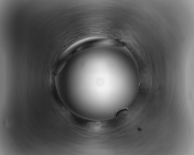 X0000088890131200706081255