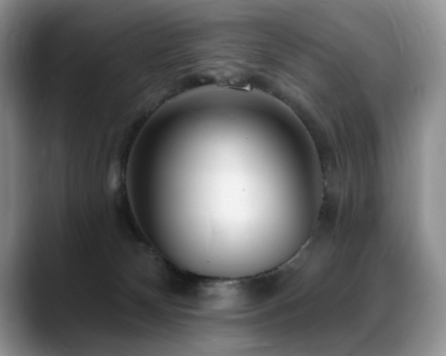 X0000088890132200706081255