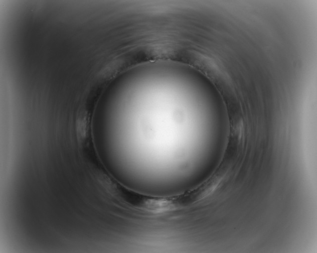 X0000088890133200706081255