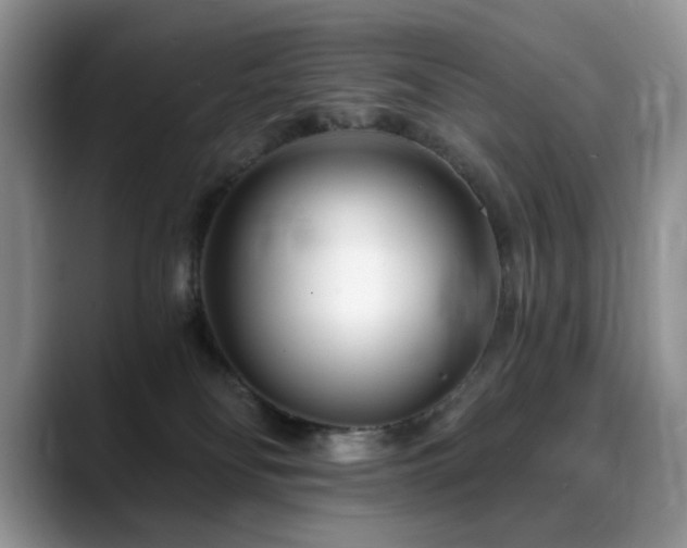 X0000088890134200706081255