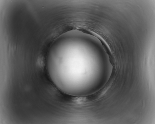 X0000088890135200706081255