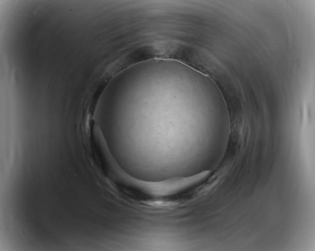 X0000088890137200706081254