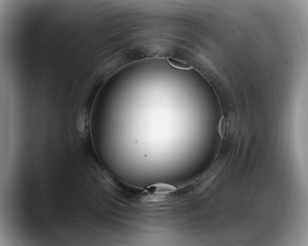 X0000088890138200706081254