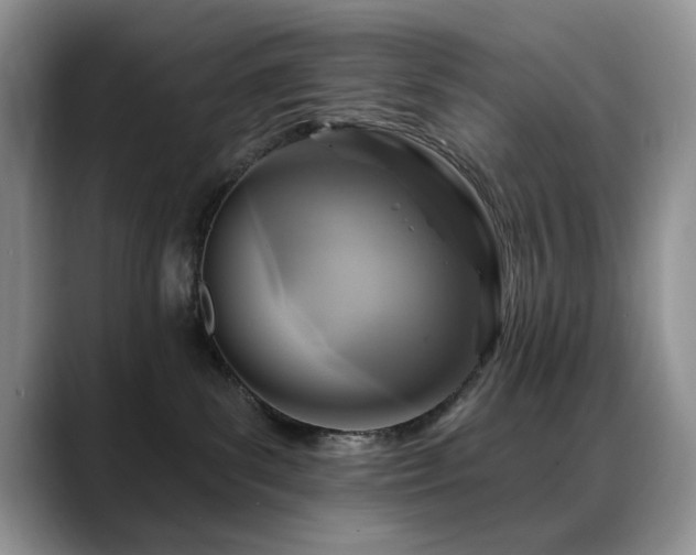 X0000088890139200706081254