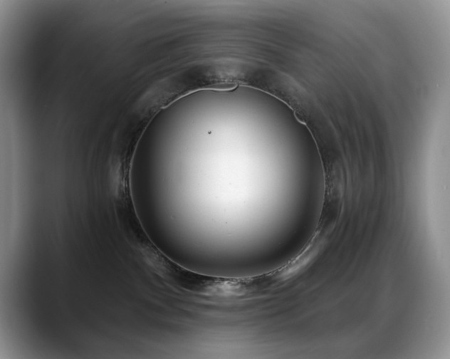 X0000088890140200706081254