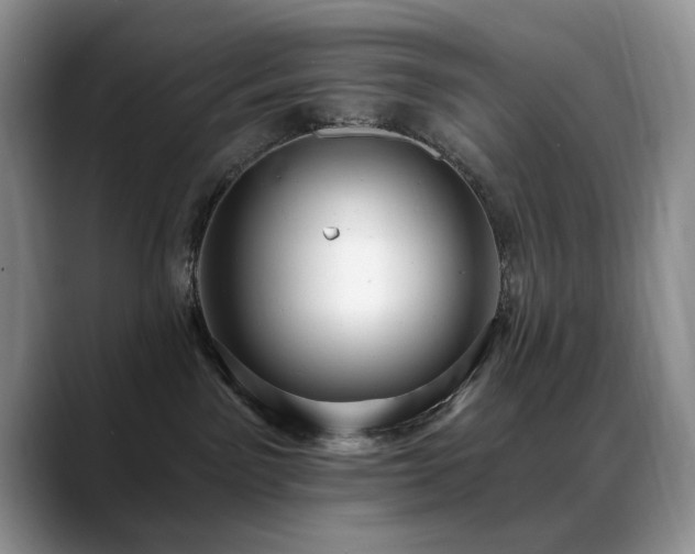 X0000088890141200706081254