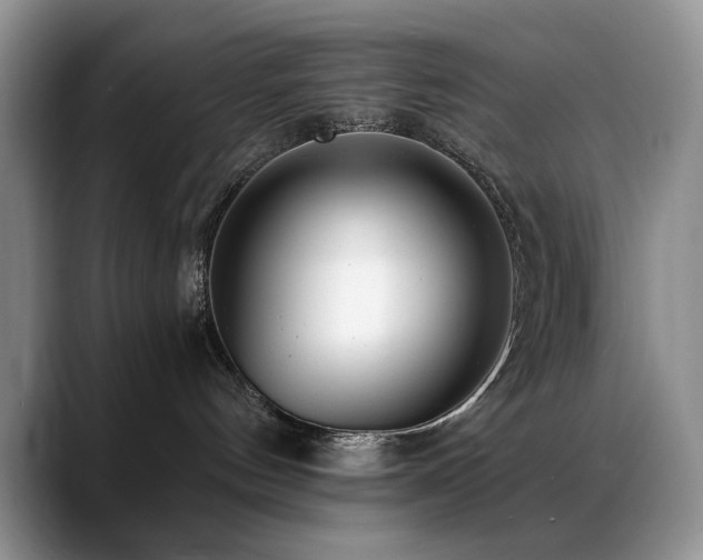 X0000088890144200706081254