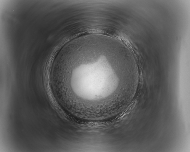 X0000088890145200706081254