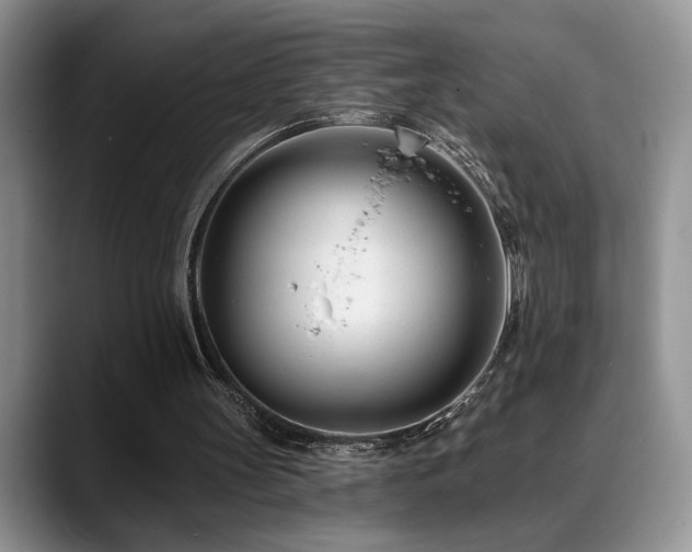 X0000088890147200706081254