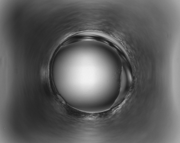 X0000088890148200706081254