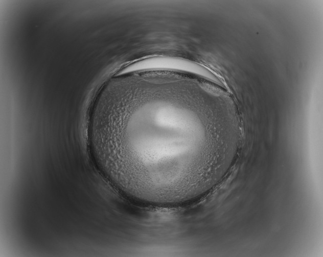 X0000088890149200706081254