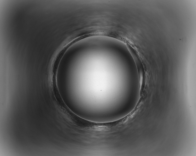 X0000088890150200706081254