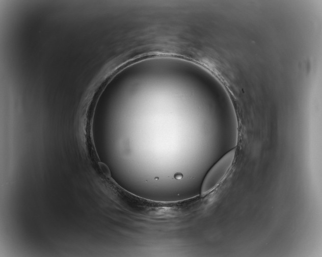 X0000088890151200706081254