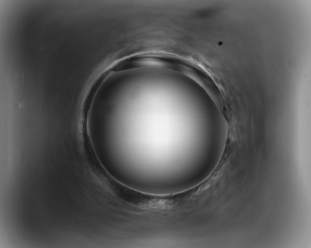 X0000088890152200706081254