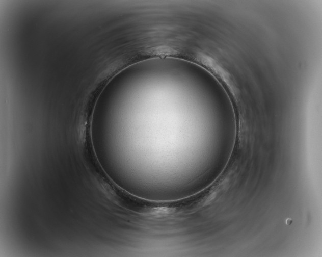 X0000088890153200706081254