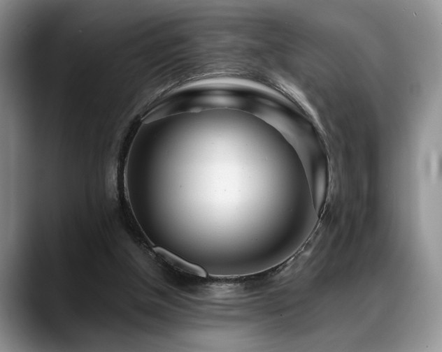 X0000088890154200706081254