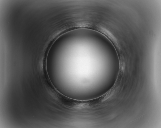 X0000088890155200706081254