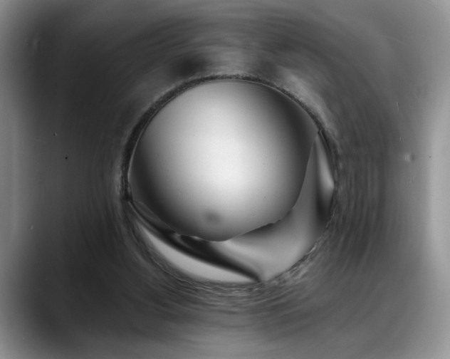 X0000088890156200706081254