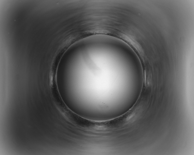 X0000088890157200706081254