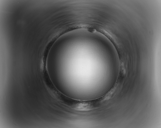 X0000088890158200706081254