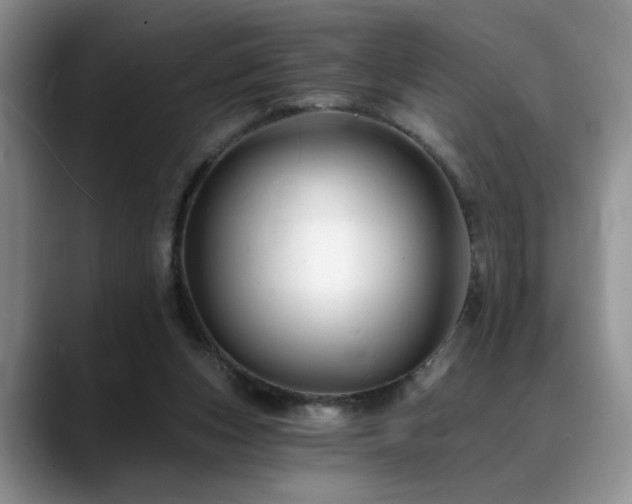 X0000088890159200706081254