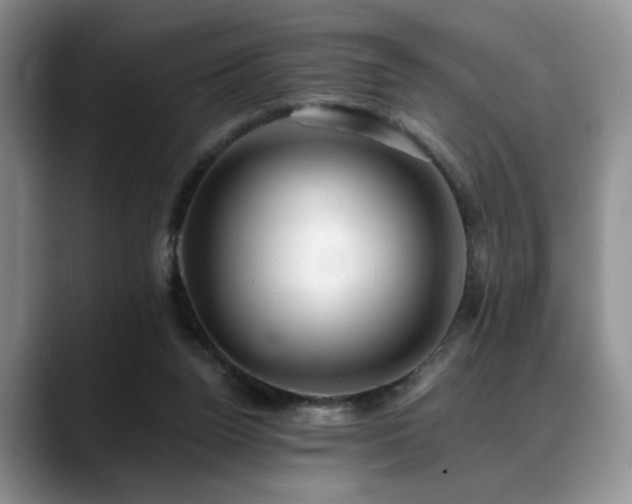 X0000088890160200706081254