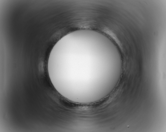 X0000088890161200706081254