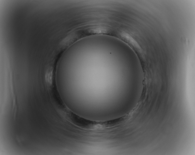 X0000088890163200706081254