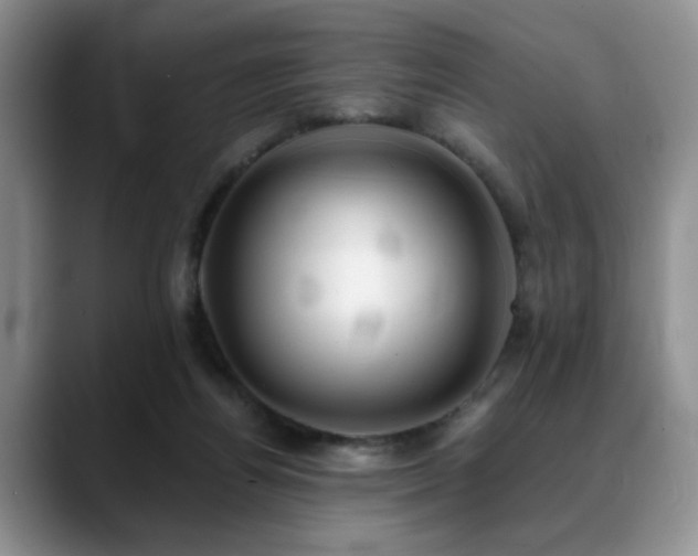 X0000088890164200706081254