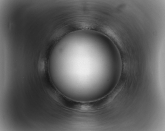 X0000088890165200706081254