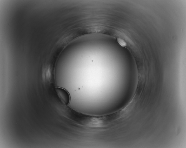 X0000088890166200706081254