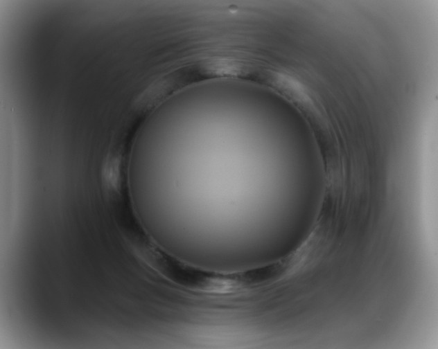 X0000088890167200706081254