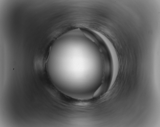 X0000088890168200706081254