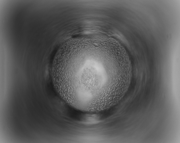 X0000088890169200706081254