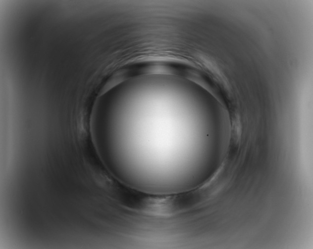 X0000088890170200706081254