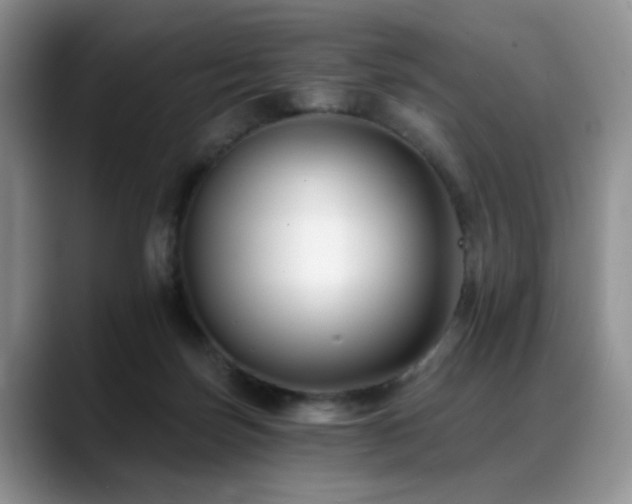 X0000088890171200706081254