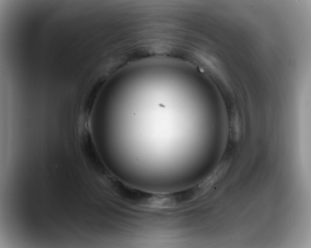 X0000088890172200706081254