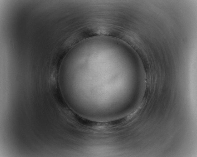 X0000088890175200706081254