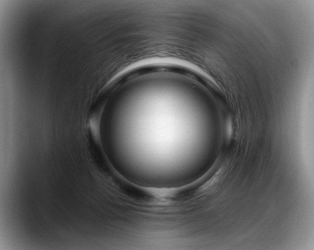 X0000088890176200706081254