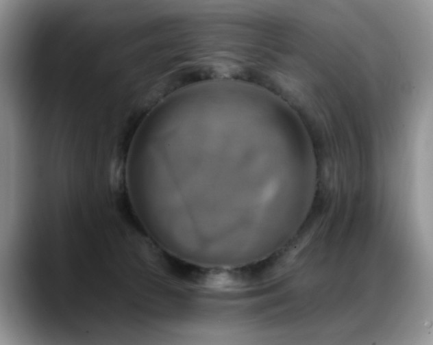 X0000088890177200706081254