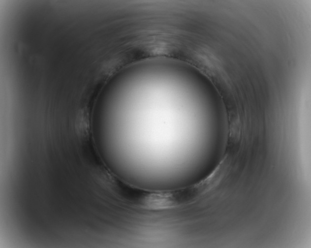 X0000088890179200706081254