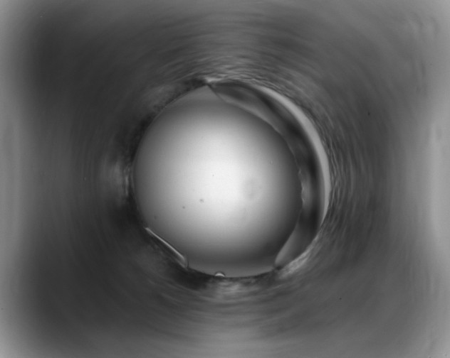 X0000088890180200706081254