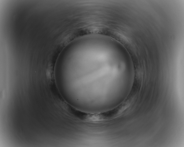 X0000088890181200706081254