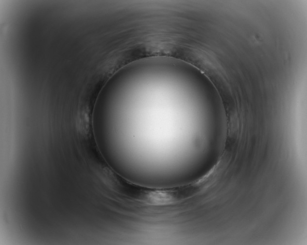 X0000088890183200706081254