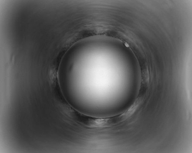 X0000088890184200706081254