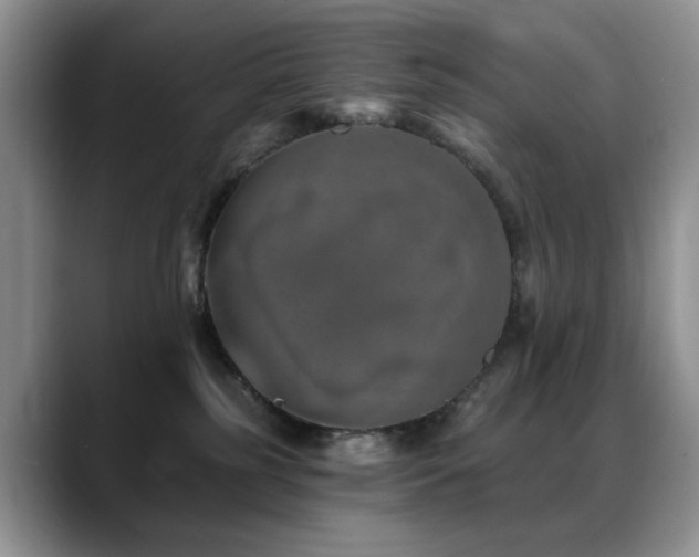 X0000088890185200706081254