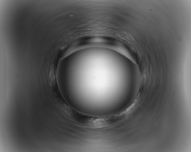 X0000088890186200706081254